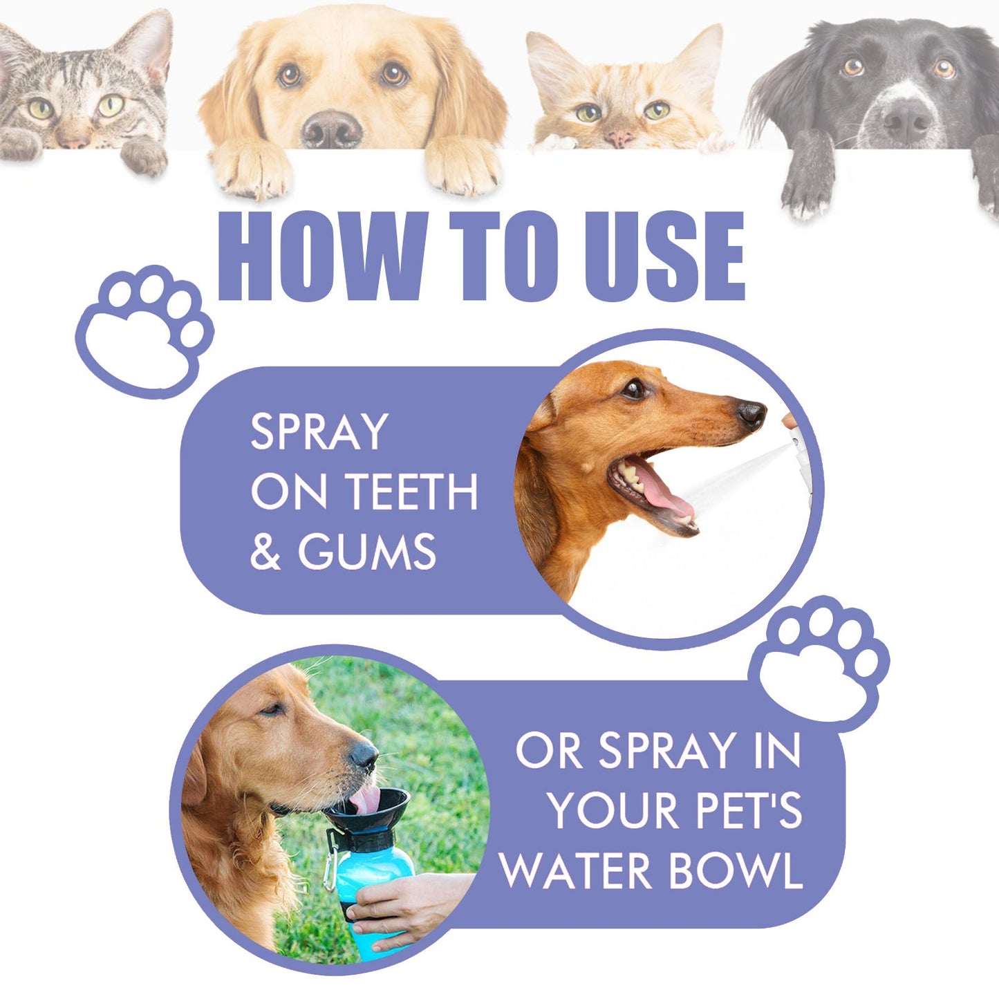 Glowhervital Dental Cleaning Spray for Cat & Dog |Pet Oral Spray