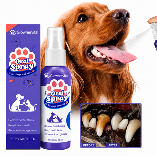 Glowhervital Dental Cleaning Spray for Cat & Dog |Pet Oral Spray
