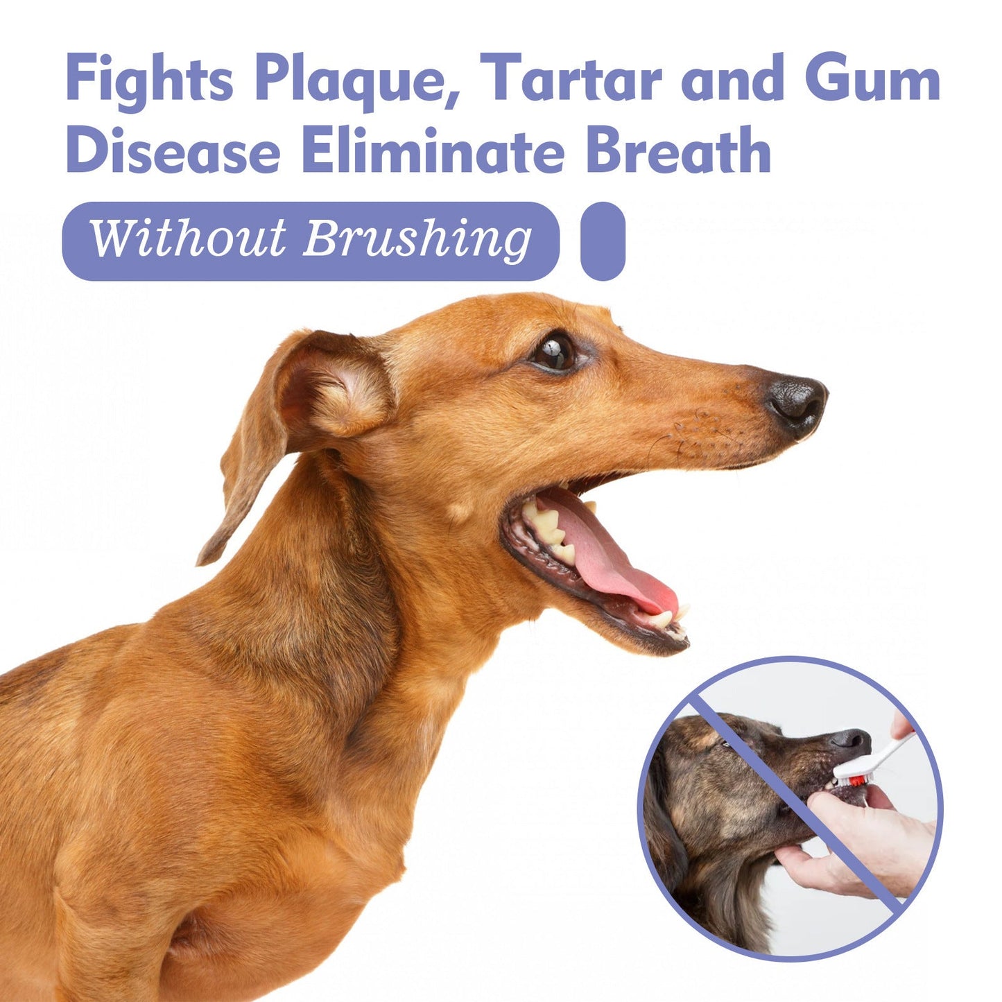 Glowhervital Dental Cleaning Spray for Cat & Dog |Pet Oral Spray