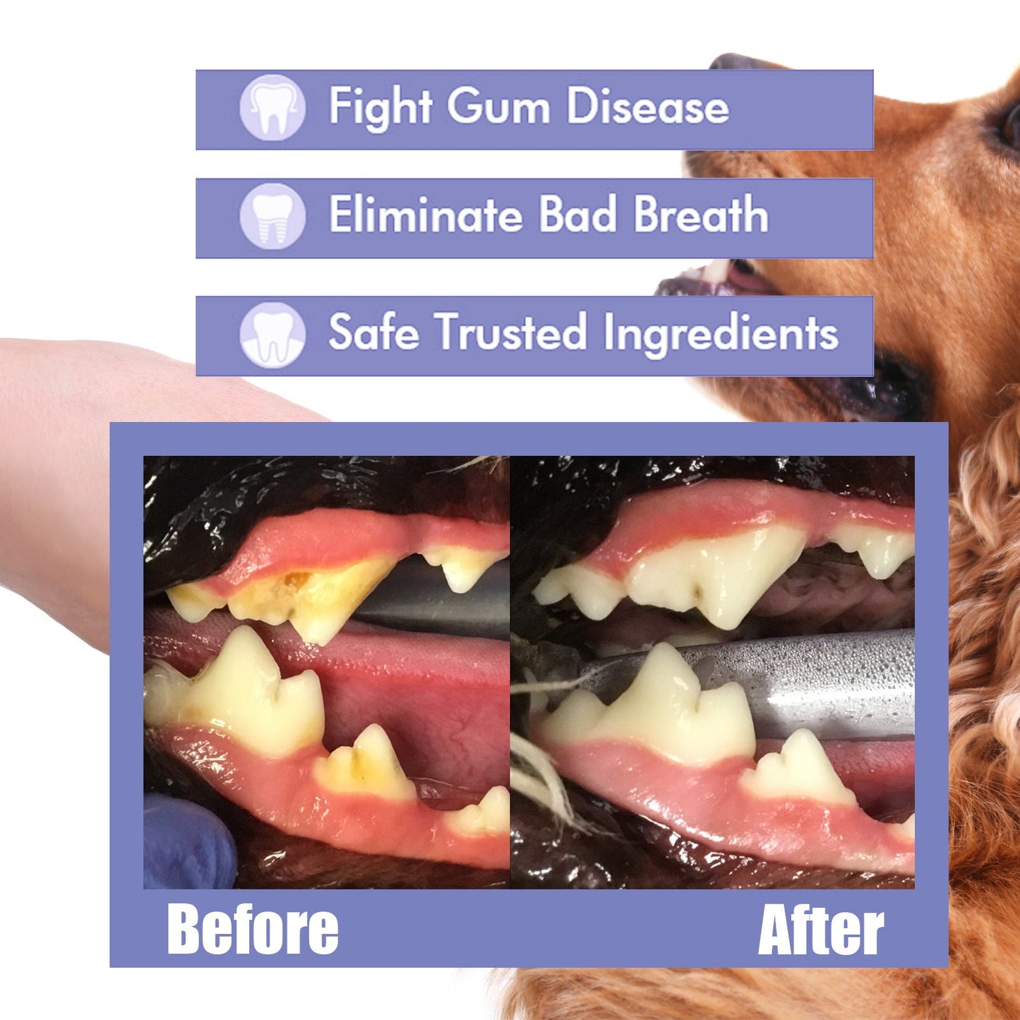Glowhervital Dental Cleaning Spray for Cat & Dog |Pet Oral Spray